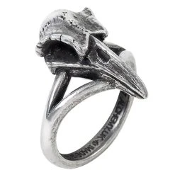 ALCHEMY GOTHIC Bague 'Rabeschadel Kleiner'