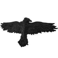 ALCHEMY GOTHIC Barrette à Cheveux 'Black Raven'