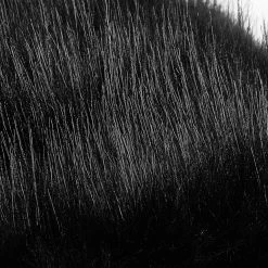 Pyon Pyon Boléro Gothic Lolita 'Melissa' Noir à Capuche -ALCHEMY GOTHIC shop bolero gothic lolita melissa noir a capuche 11