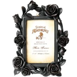 The Vault By Alchemy Cadre Photo 'Rose & Vine' Noir