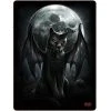 Spiral Direct Couverture Polaire 'Vamp Cat' Imprimée Recto-Verso -ALCHEMY GOTHIC shop couverture polaire vamp cat imprimee recto verso