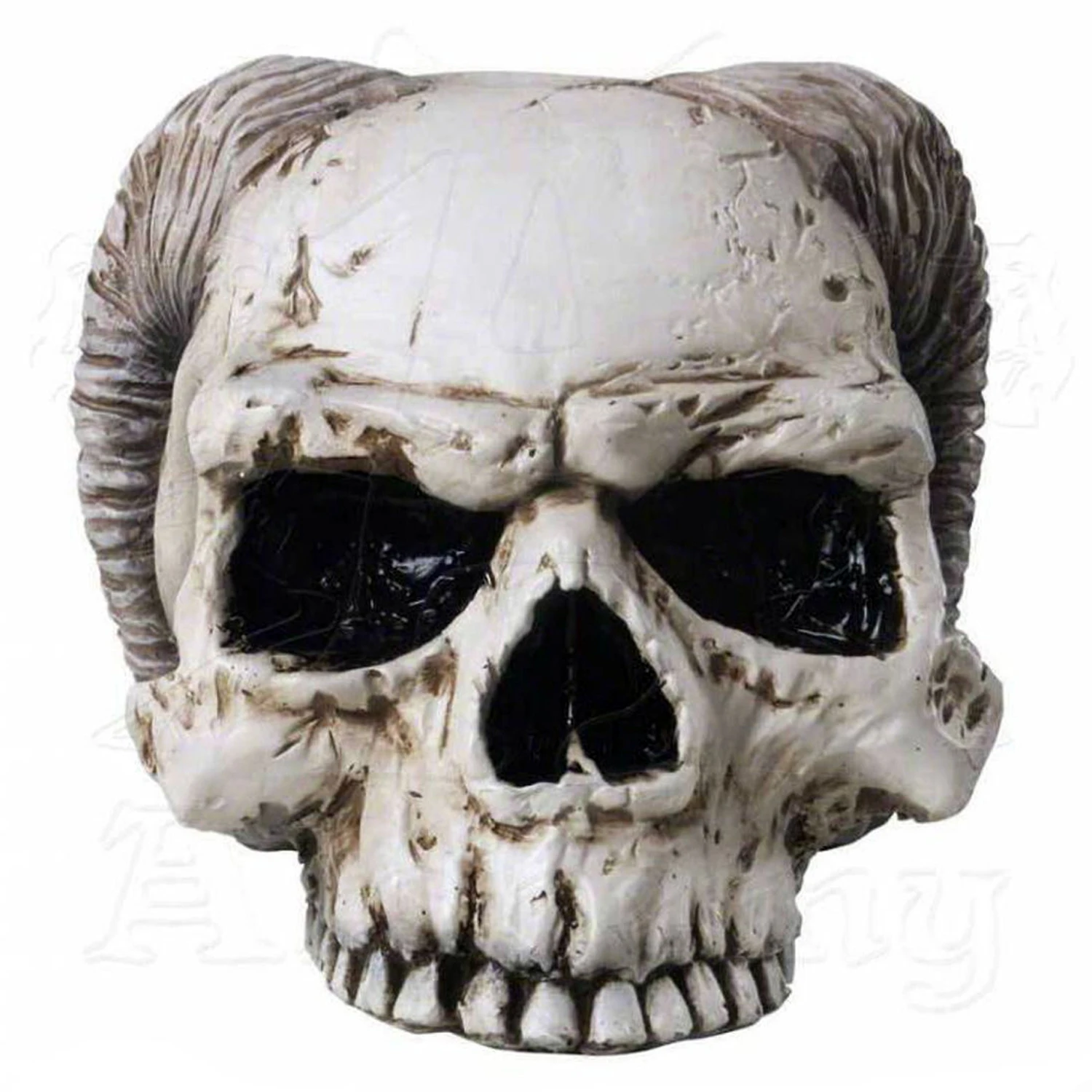 The Vault By Alchemy Crâne 'Angel Of Hades' En Résine 6 The Vault By Alchemy Crâne 'Angel Of Hades' En Résine – Image 4