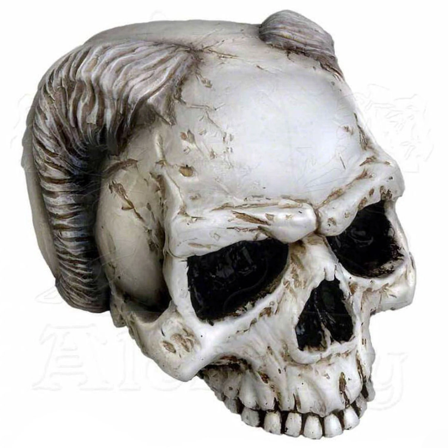 The Vault By Alchemy Crâne 'Angel Of Hades' En Résine 3 The Vault By Alchemy Crâne 'Angel Of Hades' En Résine