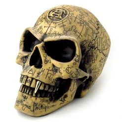 The Vault By Alchemy Crâne En Résine 'Omega Skull'