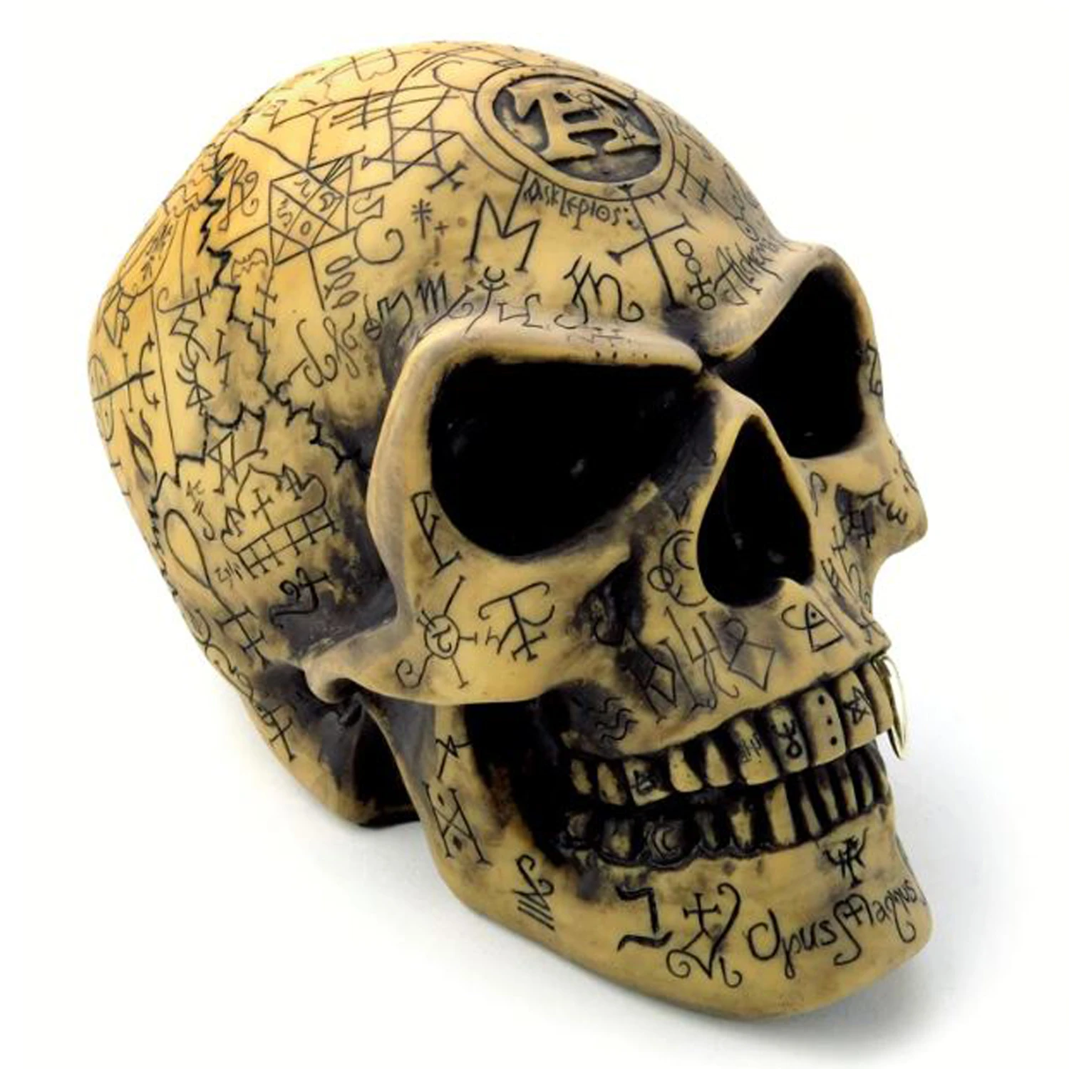 The Vault By Alchemy Crâne En Résine 'Omega Skull' 4 The Vault By Alchemy Crâne En Résine 'Omega Skull' – Image 2