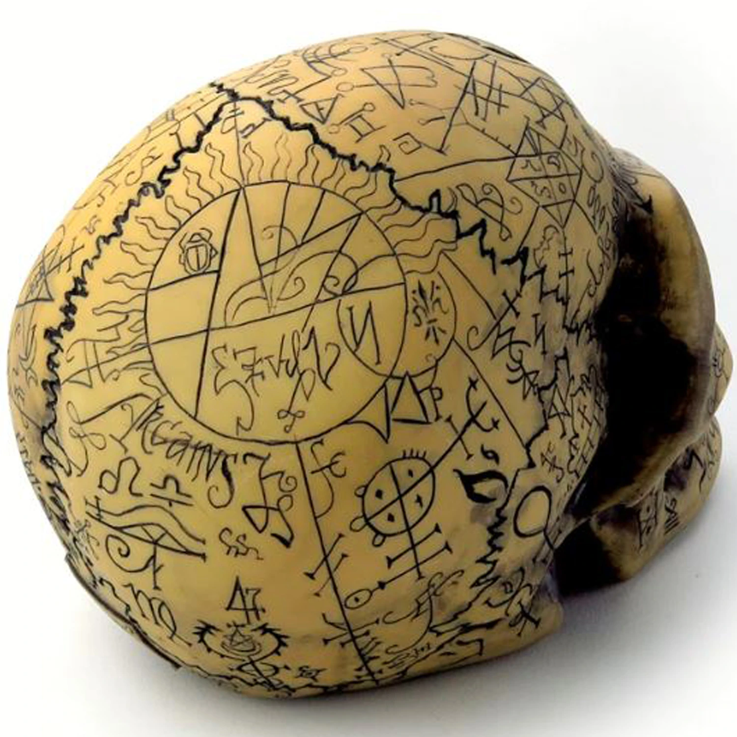 The Vault By Alchemy Crâne En Résine 'Omega Skull' 6 The Vault By Alchemy Crâne En Résine 'Omega Skull' – Image 4