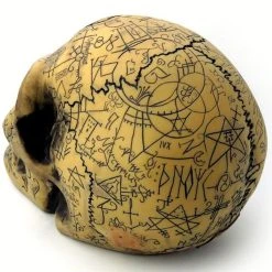 The Vault By Alchemy Crâne En Résine 'Omega Skull' 14 The Vault By Alchemy Crâne En Résine 'Omega Skull' -ALCHEMY GOTHIC shop crane en resine omega skull 1 4