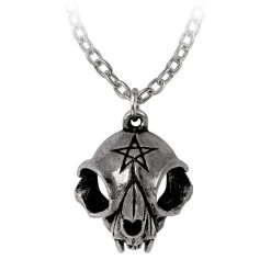 ALCHEMY GOTHIC Pendentif 'My Forever Friend'