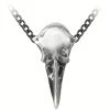 ALCHEMY GOTHIC Pendentif 'Rabenschadel Kleine' -ALCHEMY GOTHIC shop pendentif rabenschadel kleine