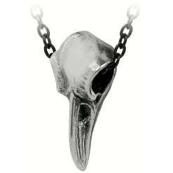 ALCHEMY GOTHIC Pendentif 'Rabenschadel Kleine' 7 ALCHEMY GOTHIC Pendentif 'Rabenschadel Kleine' -ALCHEMY GOTHIC shop pendentif rabenschadel kleine 1 1