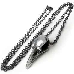 ALCHEMY GOTHIC Pendentif 'Rabenschadel Kleine' 8 ALCHEMY GOTHIC Pendentif 'Rabenschadel Kleine' -ALCHEMY GOTHIC shop pendentif rabenschadel kleine 1 2