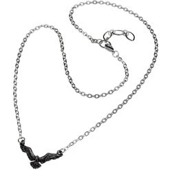 ALCHEMY GOTHIC Pendentif 'Ravenette' 5 ALCHEMY GOTHIC Pendentif 'Ravenette' -ALCHEMY GOTHIC shop pendentif ravenette 1